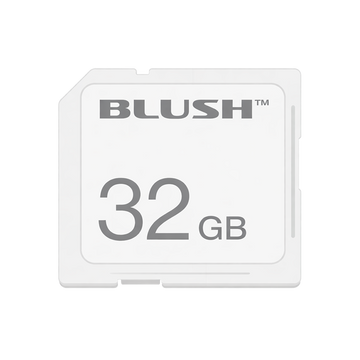 32 GB SD CARD