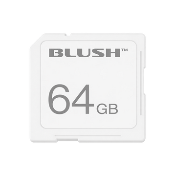 64 GB SD CARD